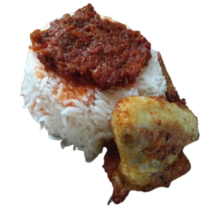 NASI KATOK (BIASA / PEDAS)