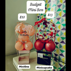 Budget Balloon Gift Set